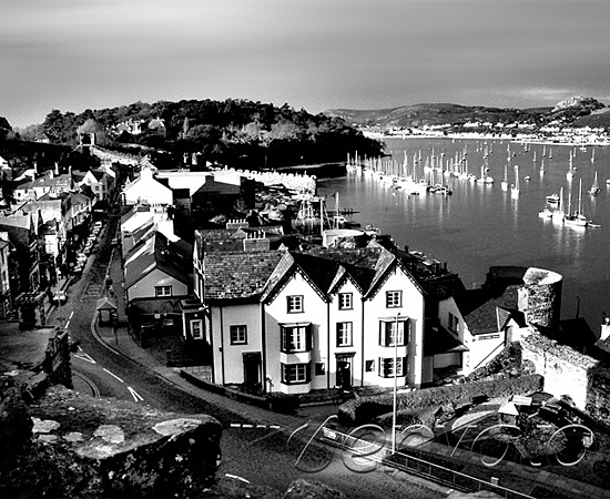 网站ddos隐藏源ip